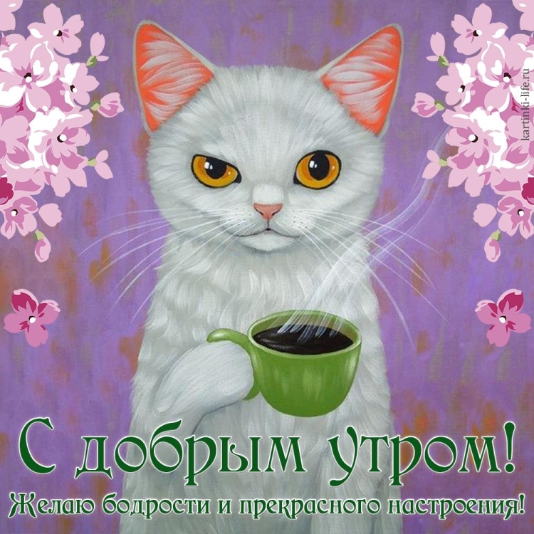 Лисичка с кофе