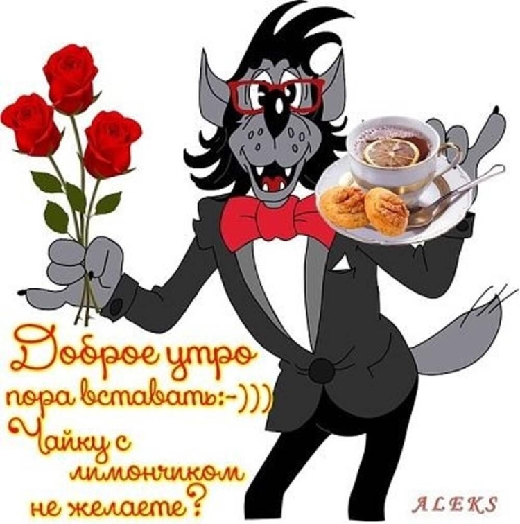 Смешные поздравления с добрым утром