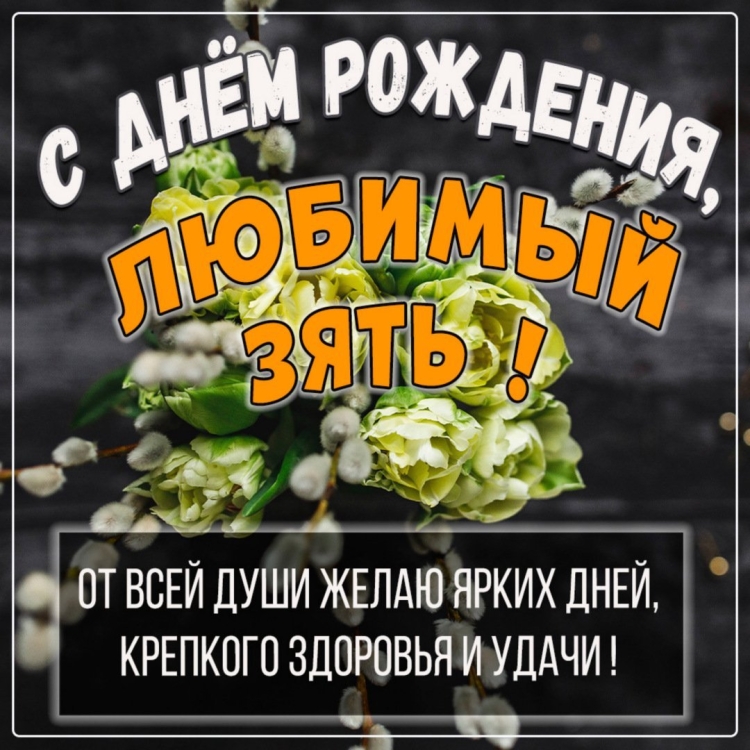 Открытки с днём рождения зятю от тёщи