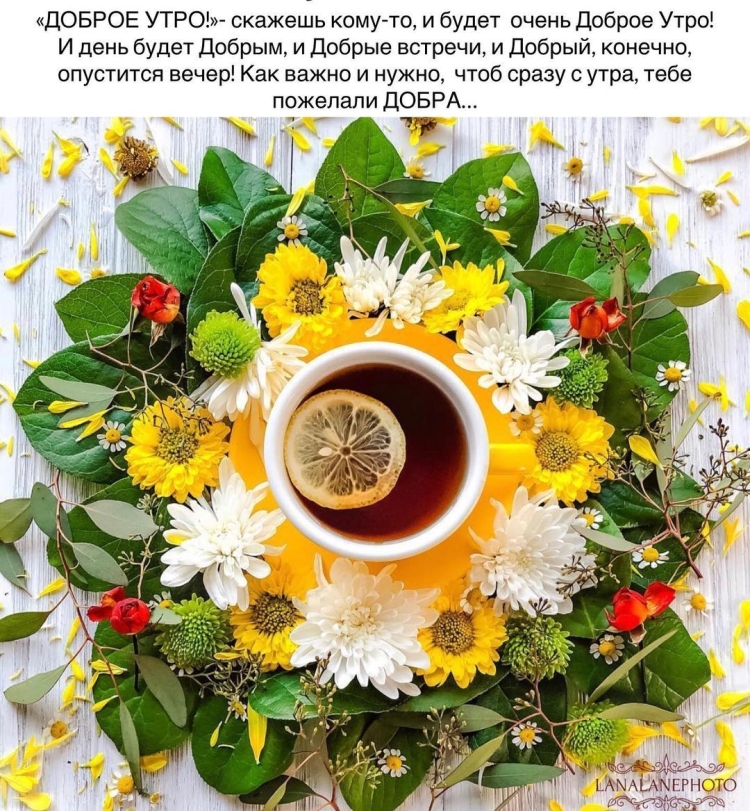 Доброе утро Нина