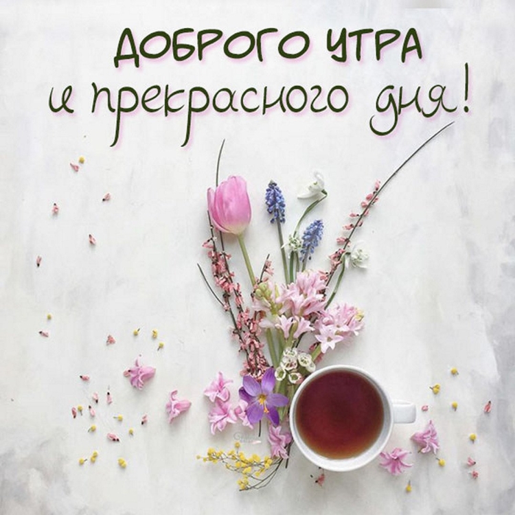 С добрым утром гранат