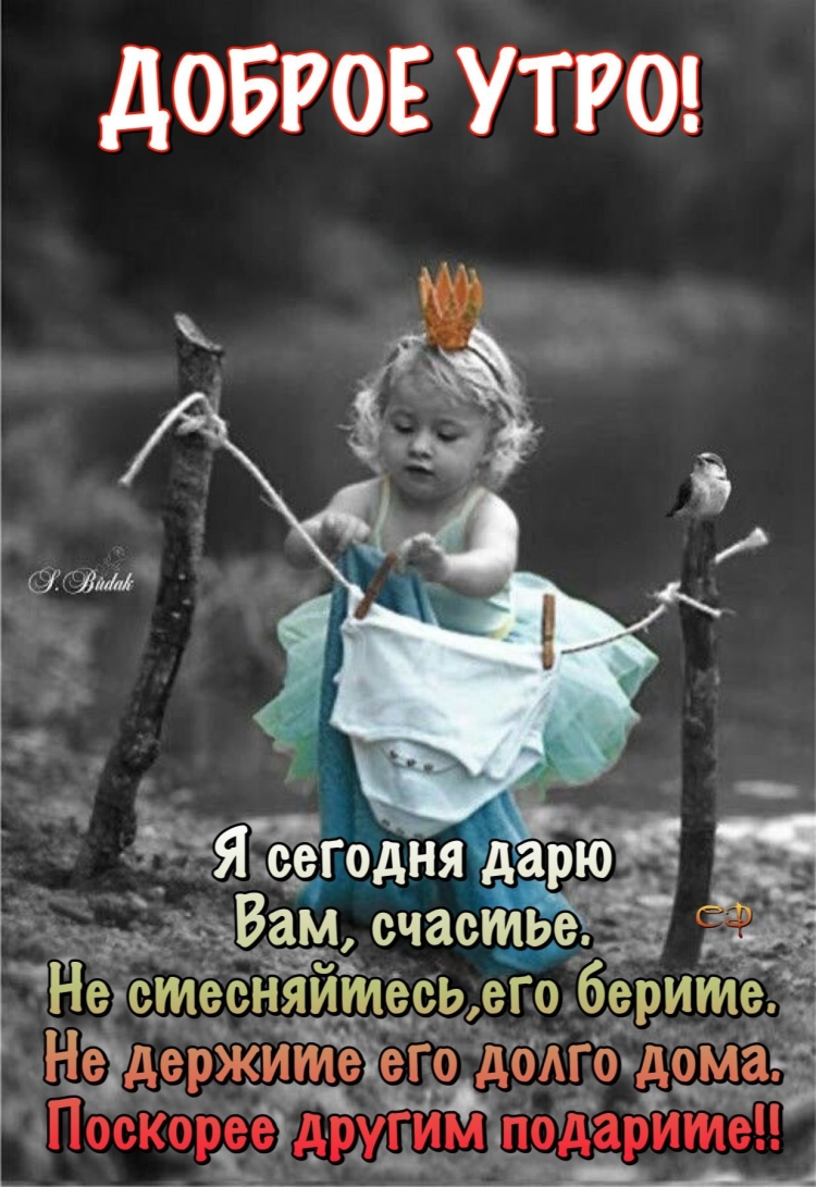 Доброе утро чайник