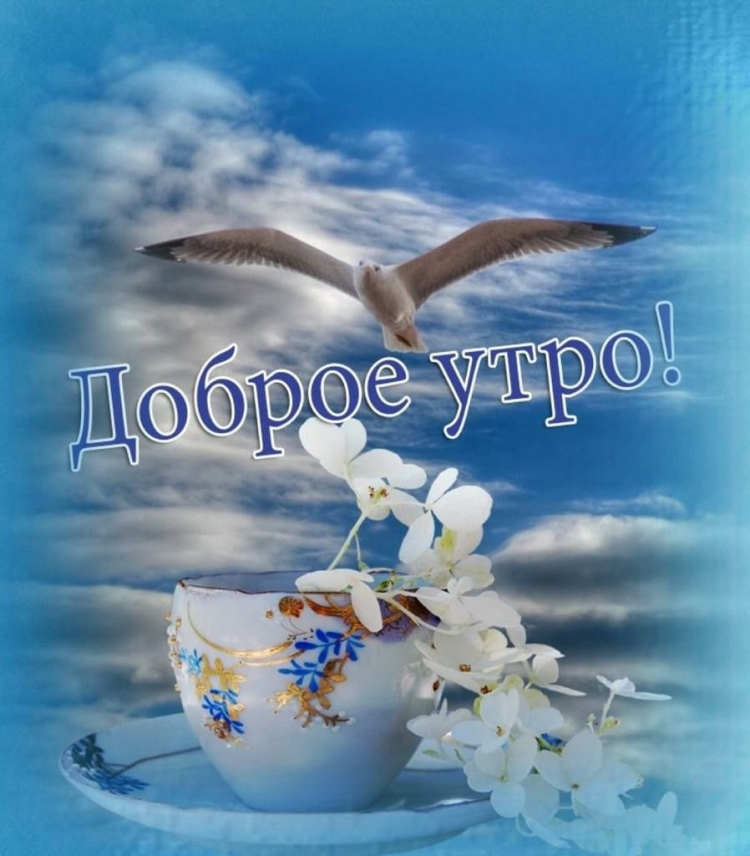 Нежность утра