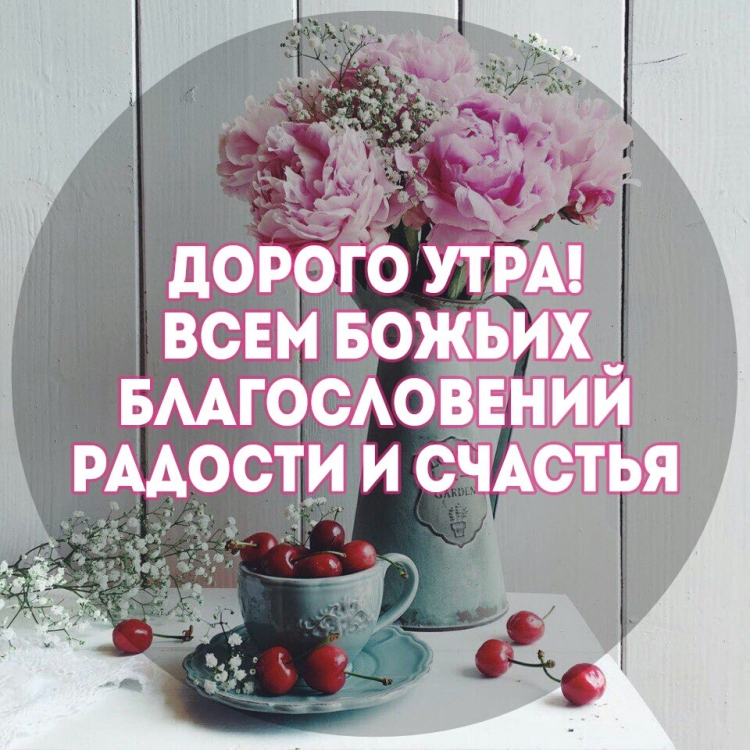 Анютины глазки и ромашки
