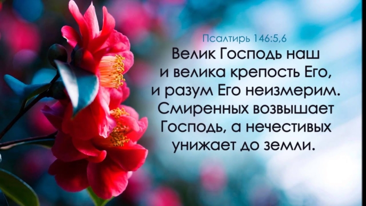 Цитаты из Библии о духе святом