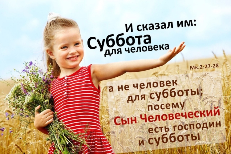 Белый голубь картина