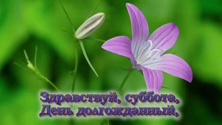 С днём рождения Божьих благословений