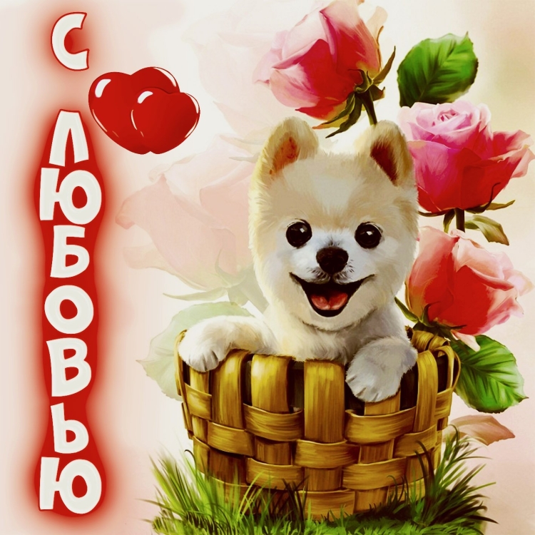 Виртуальная любовь