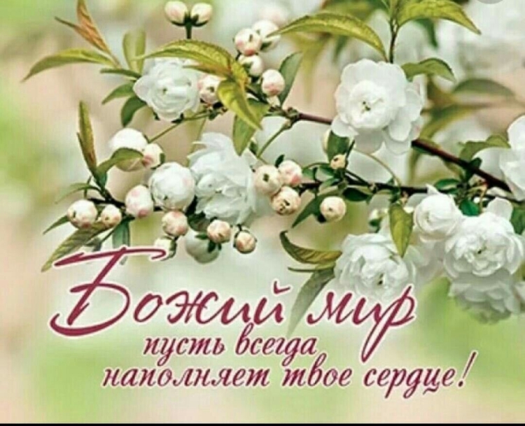 Открытки с добрым утром субботы