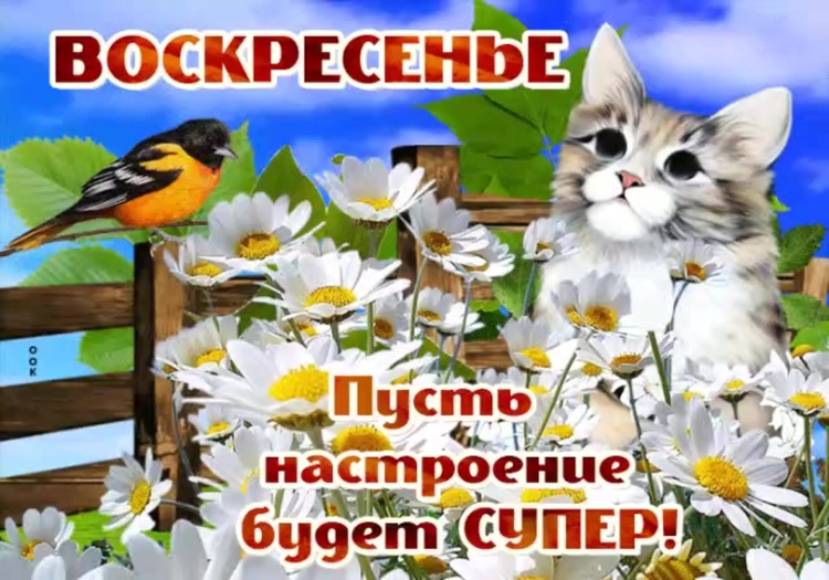 Солнечного настроения в Воскресный день