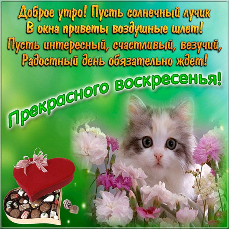 Поздравление с воскресеньем в картинках