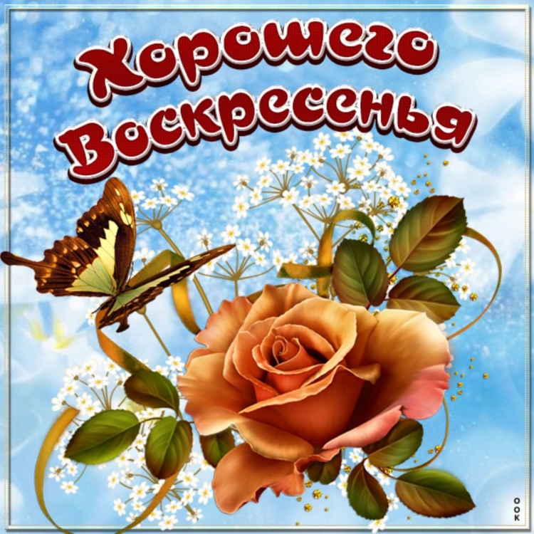 Хорошего воскресенья и отличного настроения