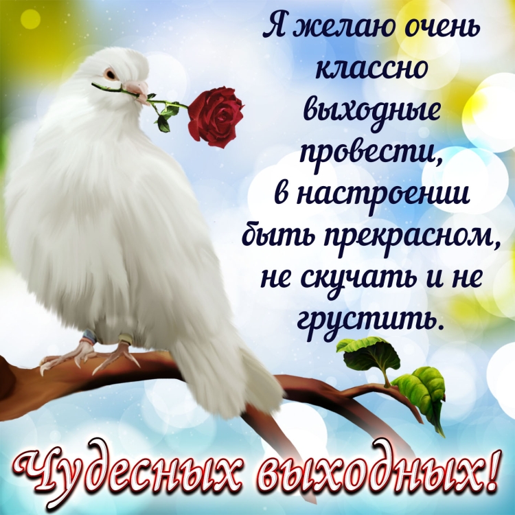 Поздравления с днём воскресенья