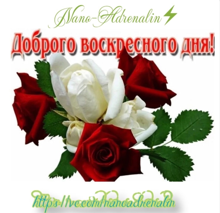 С добрым воскресным утром