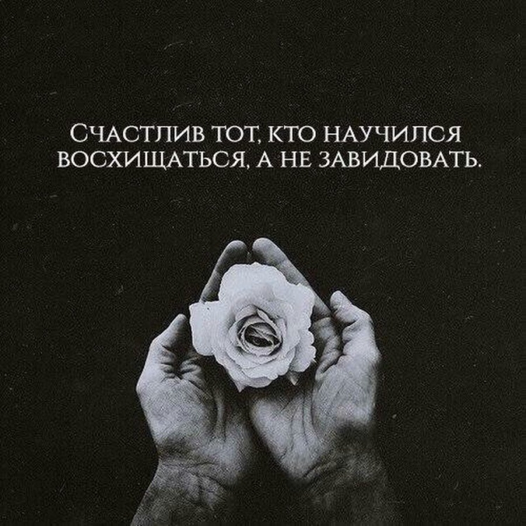 Короткие цитаты
