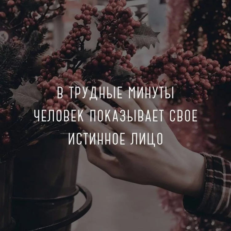 Фото цитаты со смыслом