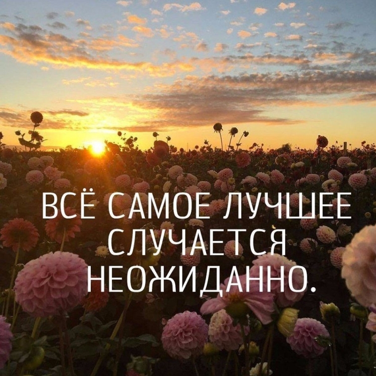 Цитаты на каждый день
