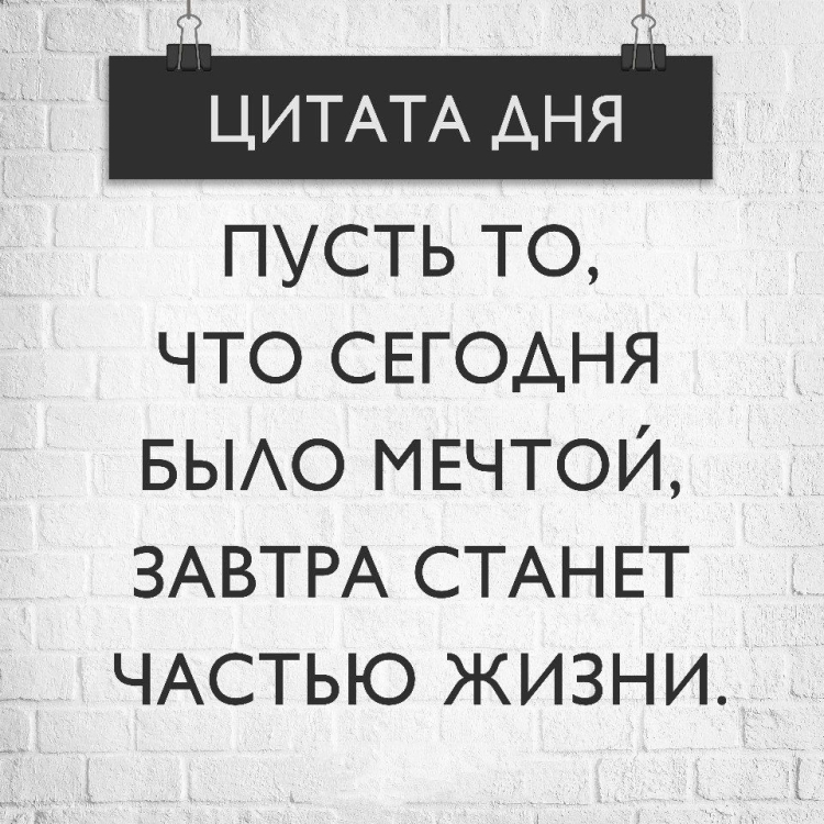 Цитата дня