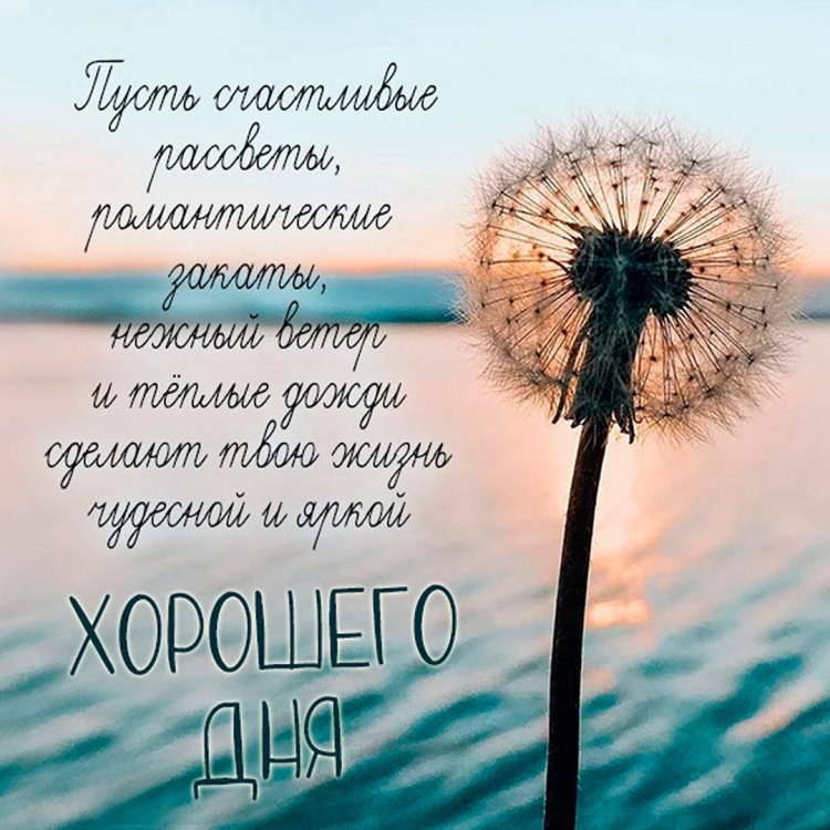 Цитаты про обиду