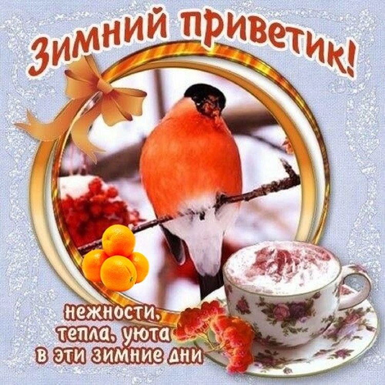 Теплые зимние пожелания доброго утра и дня