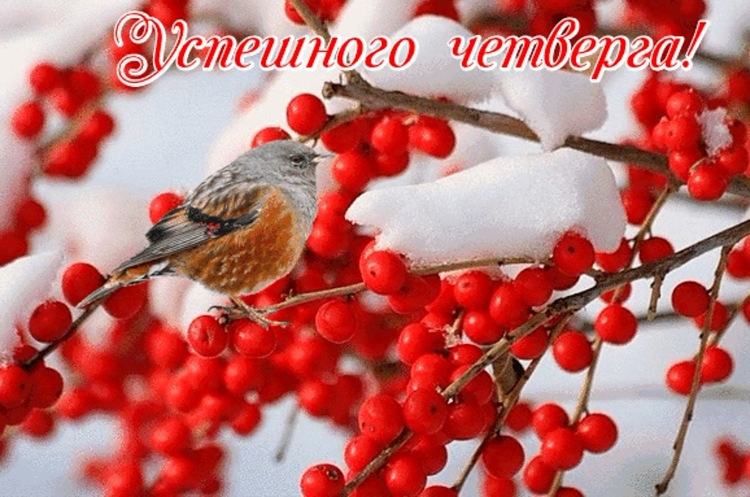 Доброе зимнее утро четверга