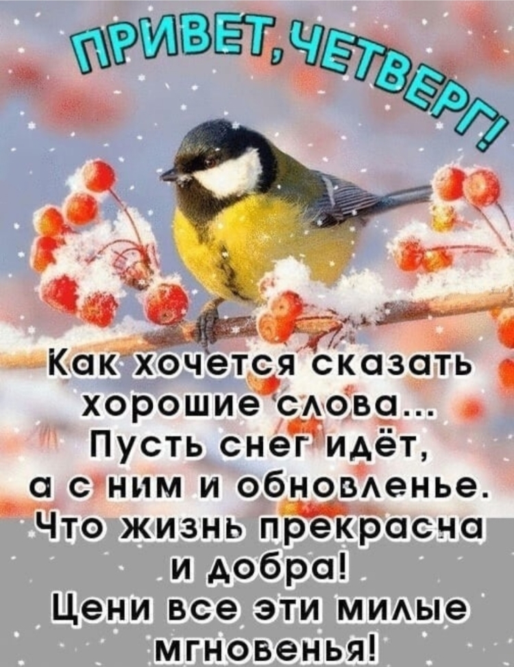 Синичка осень