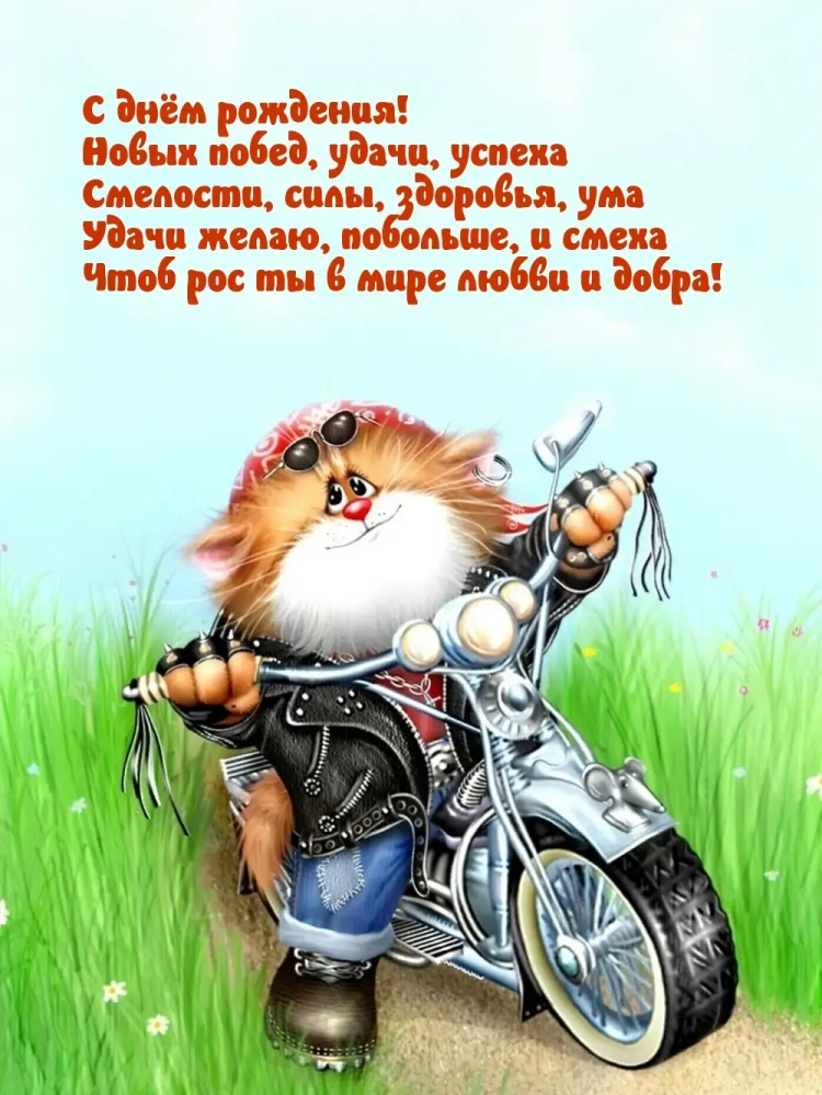 Коты байкеры