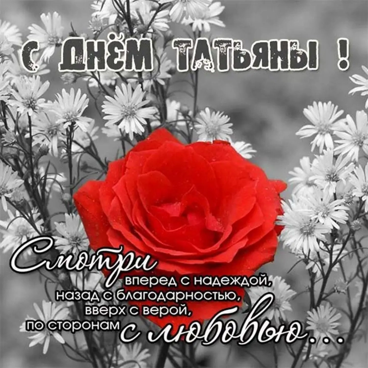 Татьянин день поздравления картинки красивые