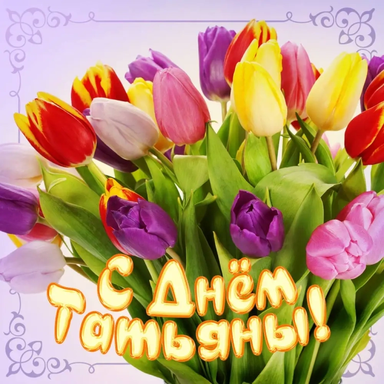Татьянин день поздравления прикольные