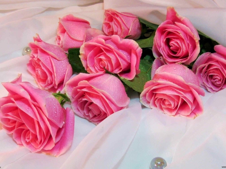 Красивые открытки с днем рождения цветы розы