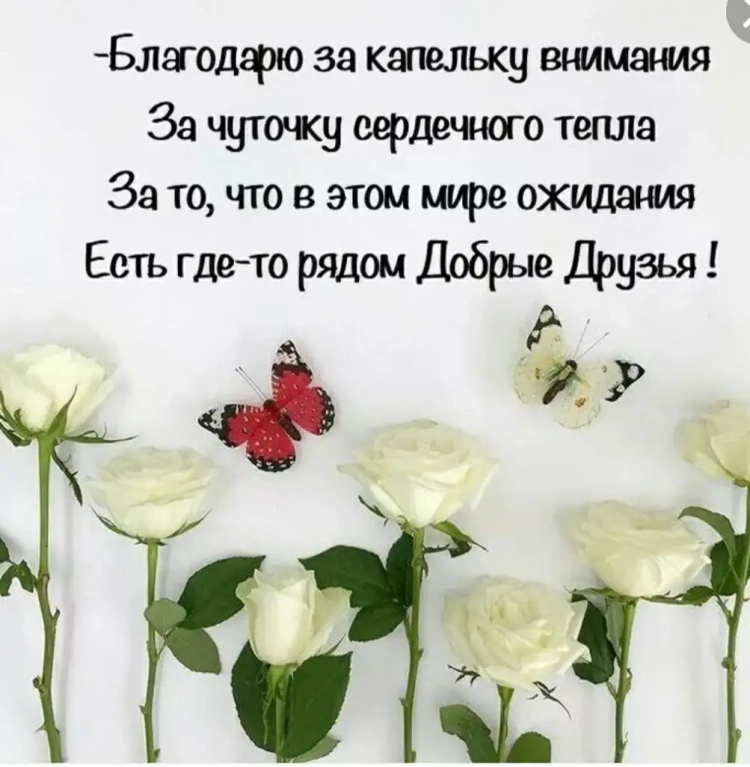 Мудрые пожелания
