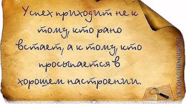 Умные фразы