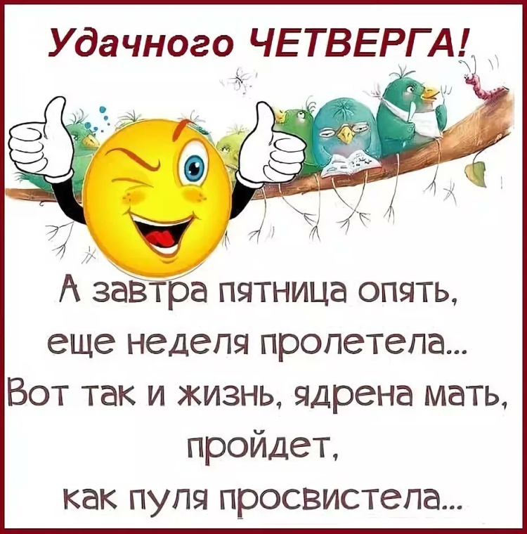 Смешные фразы про бабушек