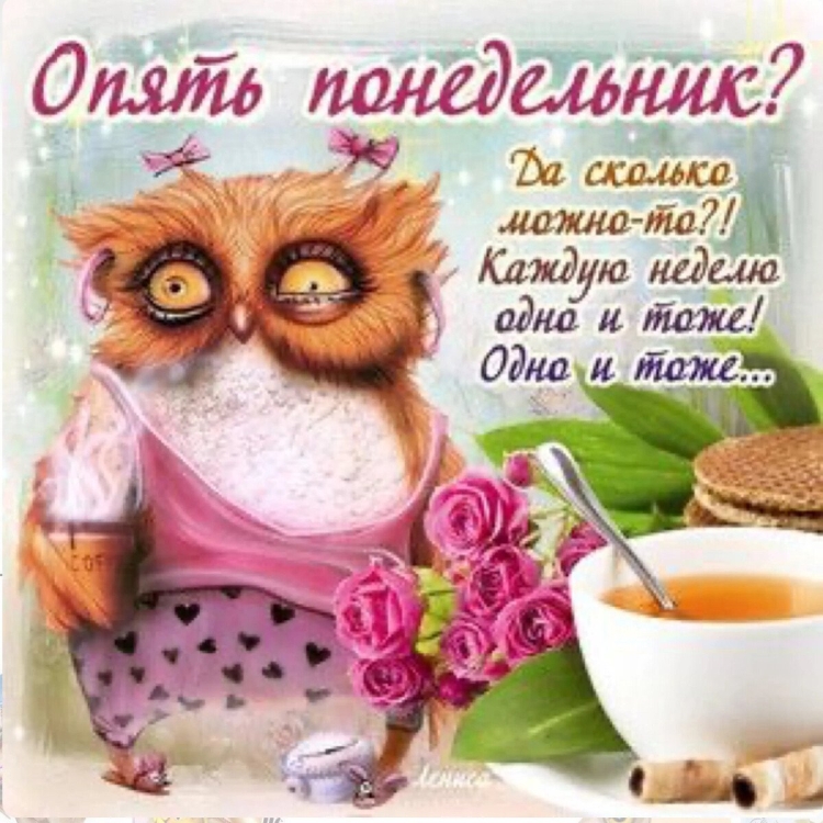 И снова понедельник