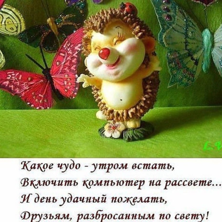 Прикольные поздравления с днем рождения