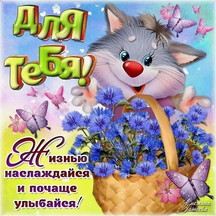 Добрый день с юмором
