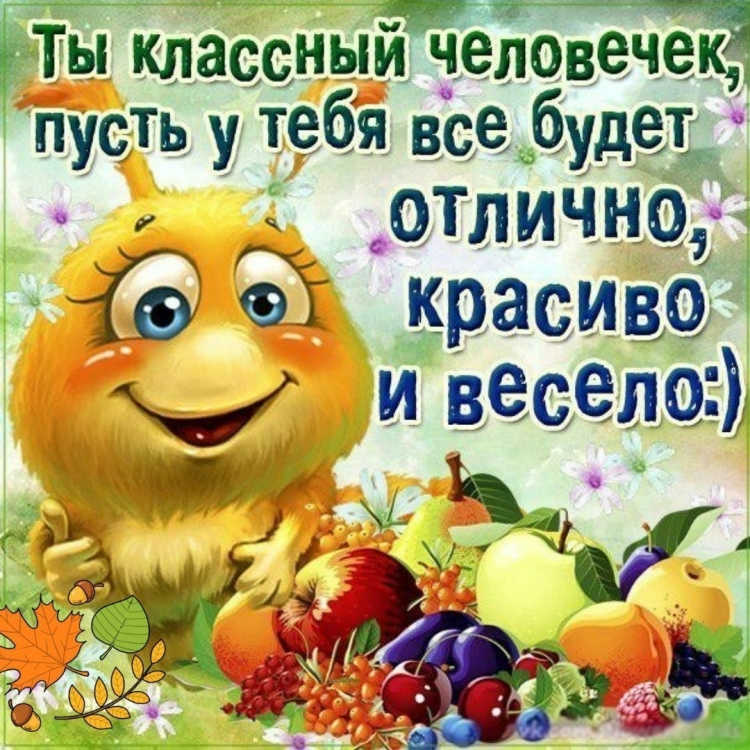 Хорошего дня юмор