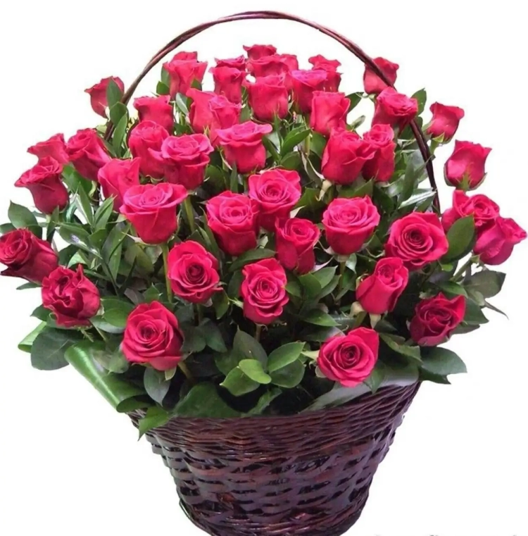 Розовые розы
