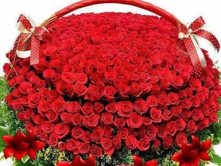 Красивые розы в корзине