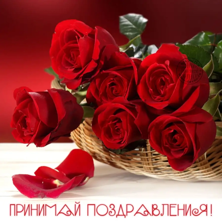 Красные розы