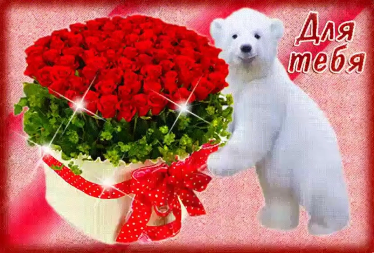 Розы обои