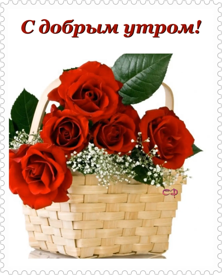 Букет нежных роз