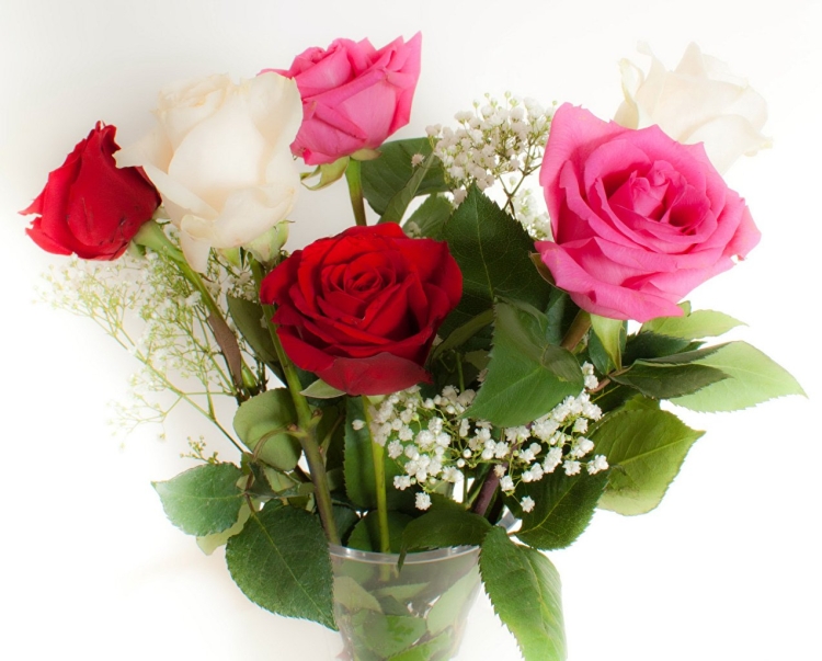 Открытка цветы букет роз