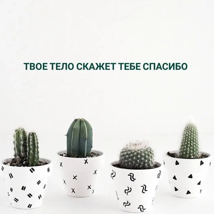 Картина Кактус Минимализм
