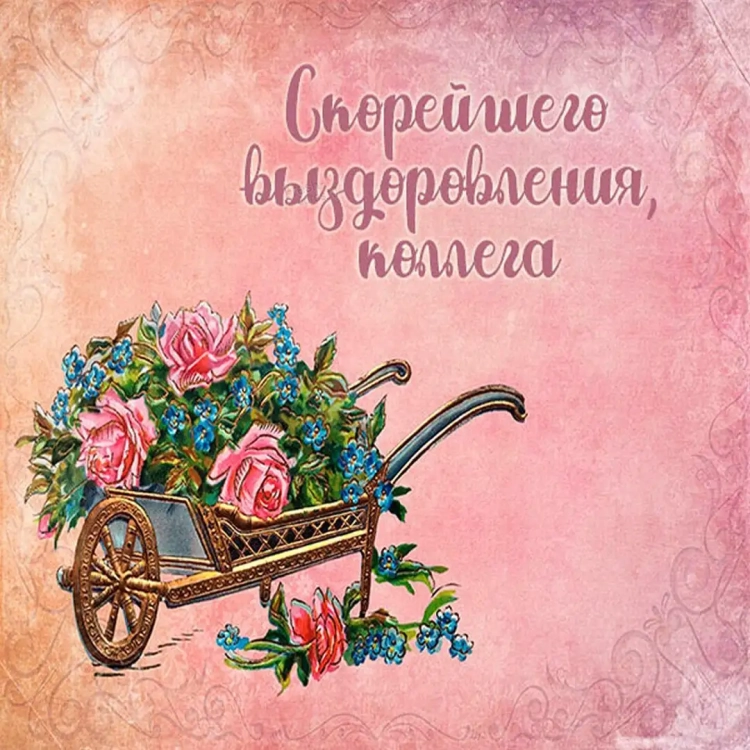 Ромашки выздоравливай