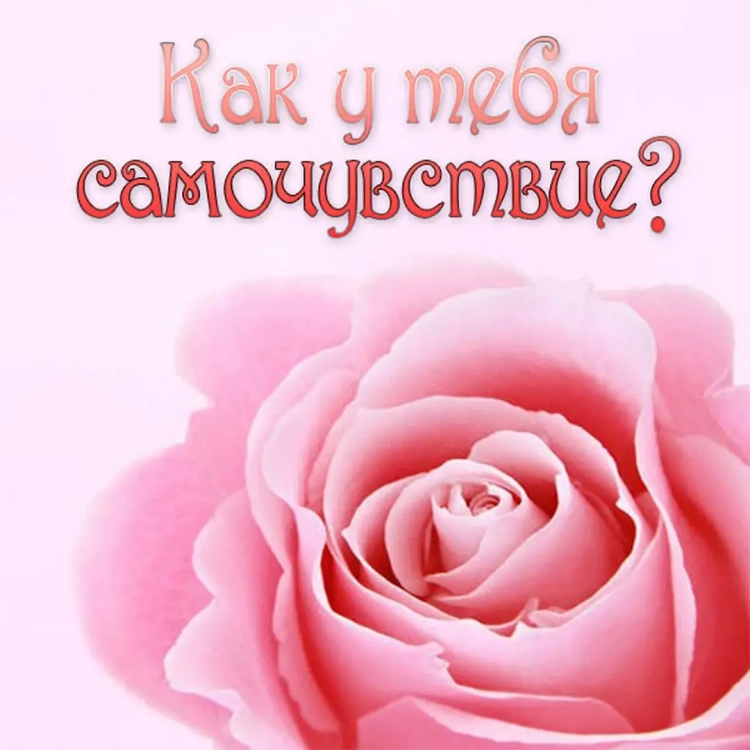 Открытка выздоравливайте