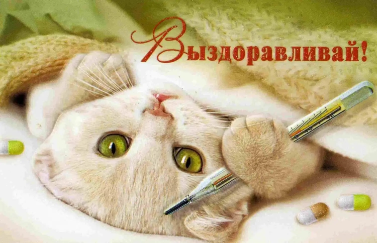 Пожелания здоровья