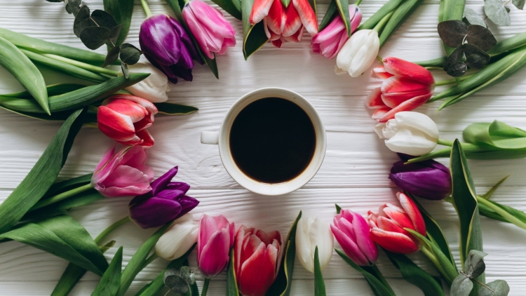 Доброе утро открытка тюльпаны