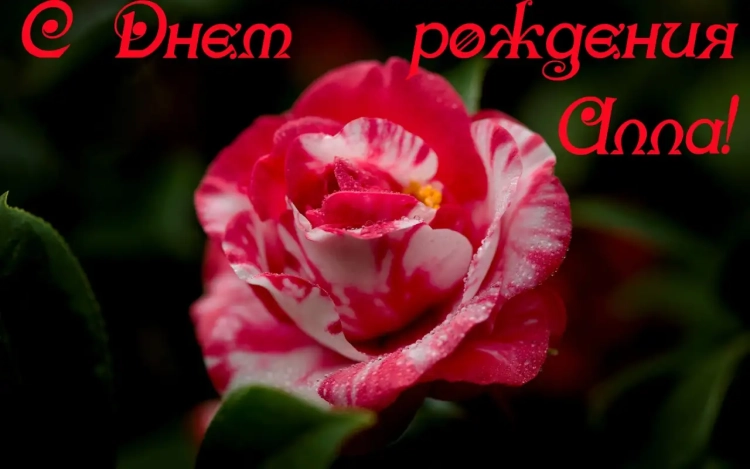 С днём рождения Аллочка