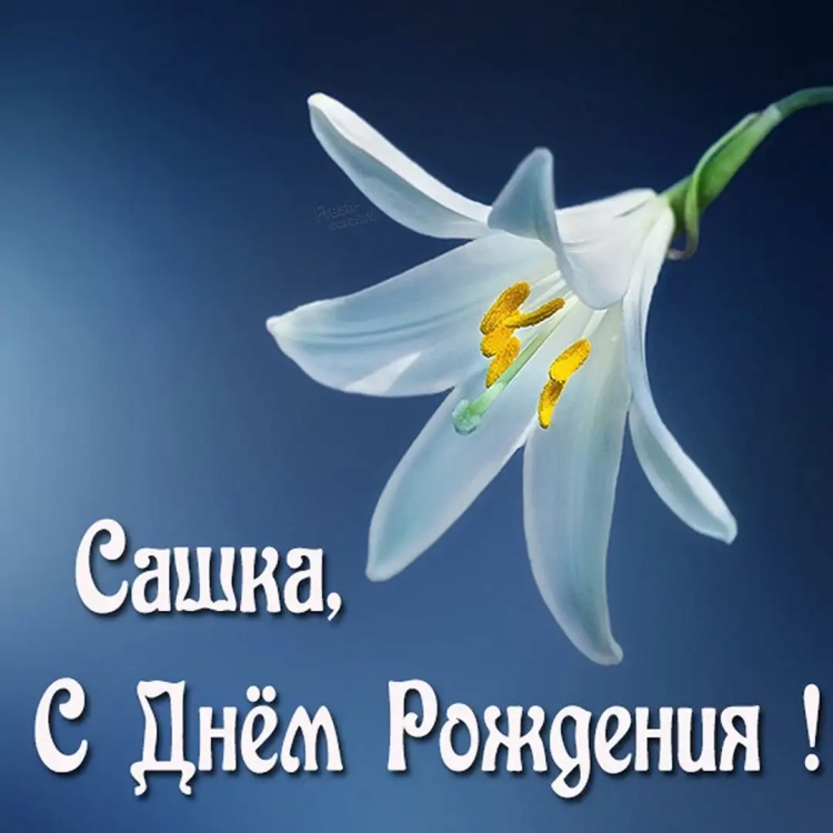 С днём рождения женщине оригинальные